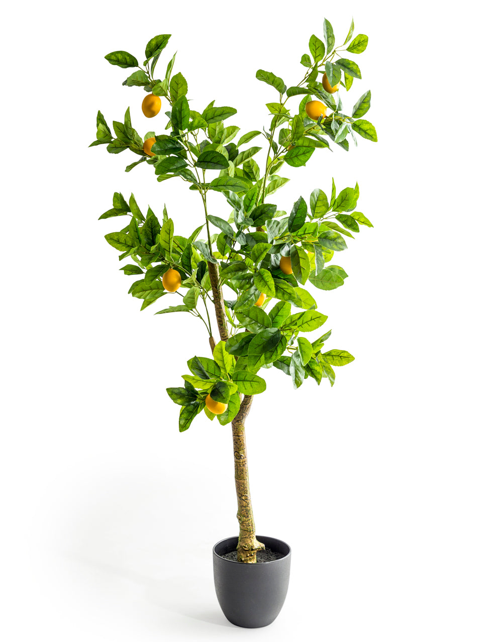 Large Faux Lemon Tree – Dear Grace Home Interiors
