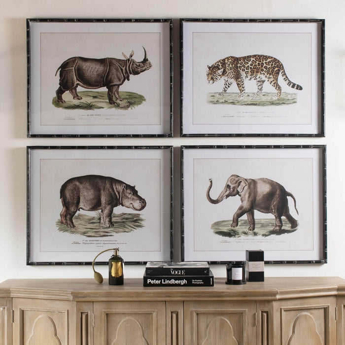 Set of 4 Aged Animal Prints