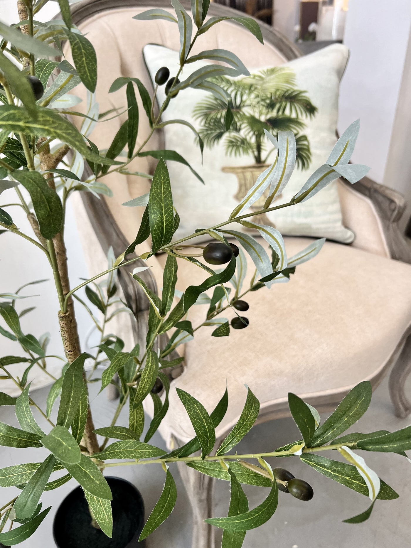 Large Faux Olive Tree – Dear Grace Home Interiors