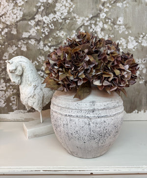 Chocolate Hydrangea Stem