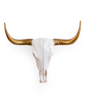 Gold Horn Bison Skull