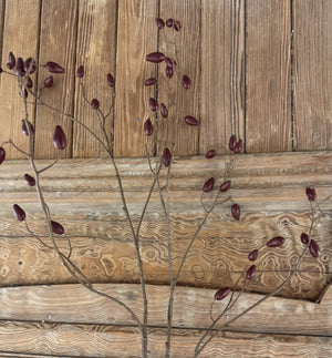 Faux Rosehip Branch