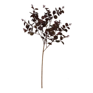 Deep Red Eucalyptus Branch