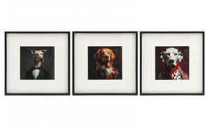 Set of 3 Dog Prints