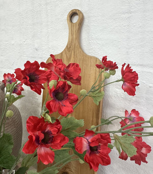 Red Poppy Stem