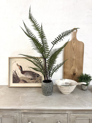 Tall Potted Fern