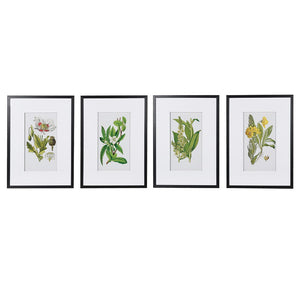 Renzow Garden Prints - Set of 4