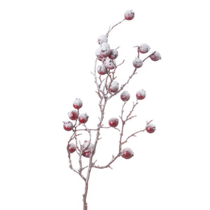 Frosted Red Berry Branch