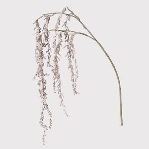 Hanging Willow Branch