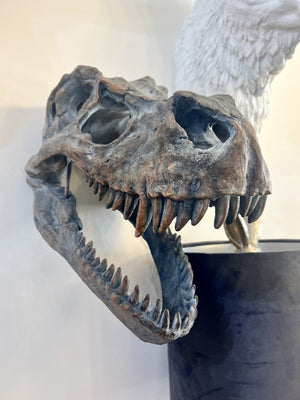 Medium T-Rex Head Wall Hanging