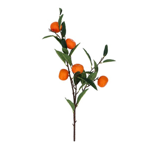Clementine Branch