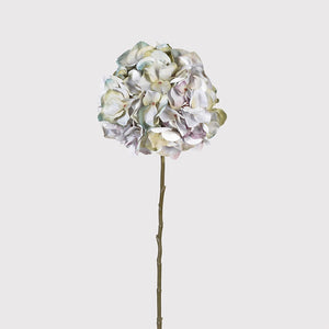 Pale Lavender Hydrangea