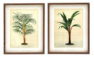 Set of Palm Prints