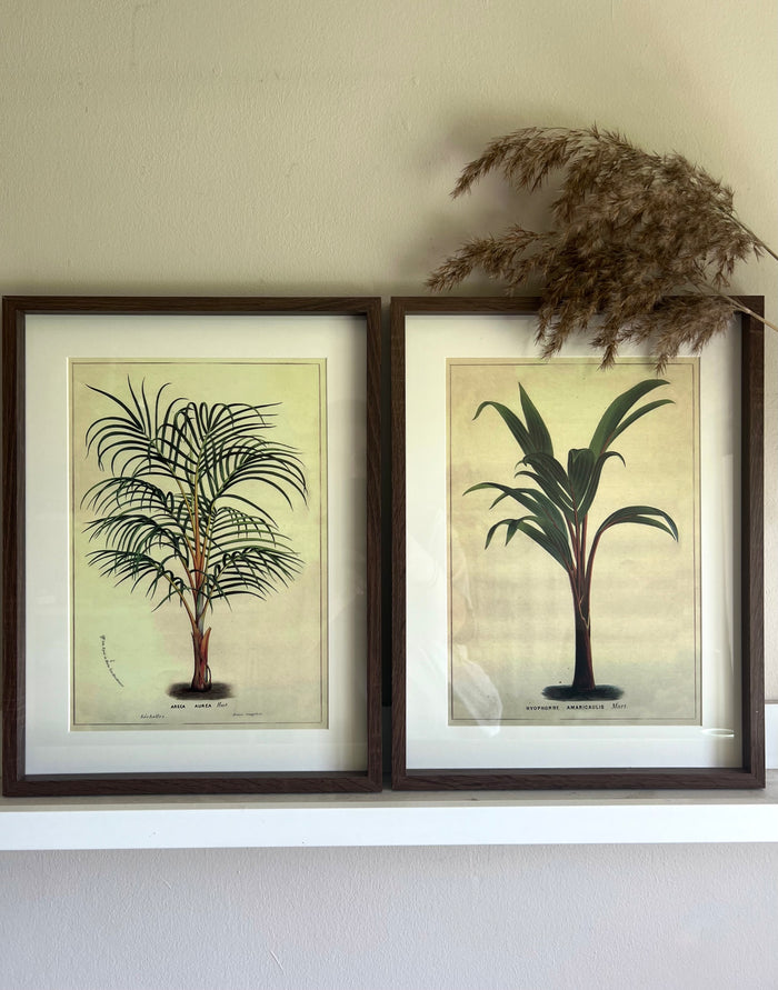 Set of Palm Prints