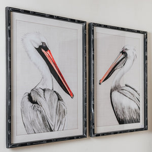 Framed Pelican Prints