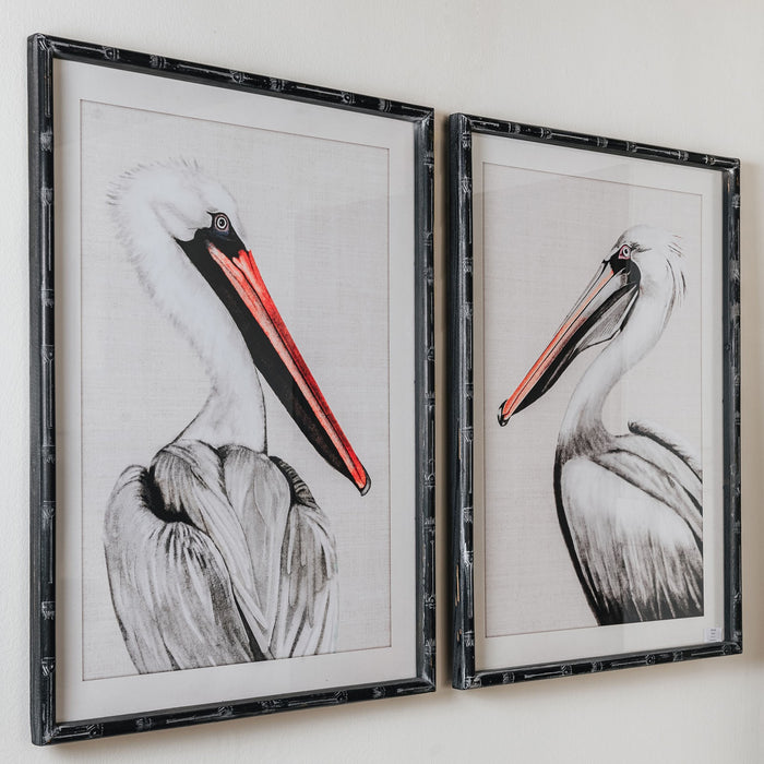 Framed Pelican Prints