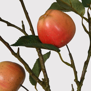 Russet Apple Branch