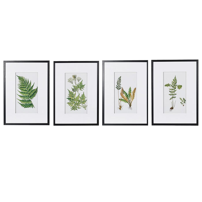 Renzow Fern Prints - Set of 4