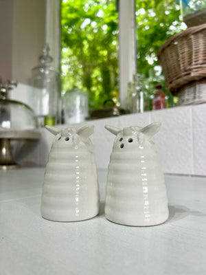 Hive Salt and Pepper Set