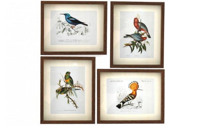 Set of Tropical Bird Prints