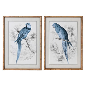 Set of 2 Framed Parrot Prints