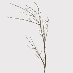 Natural Twig Branch