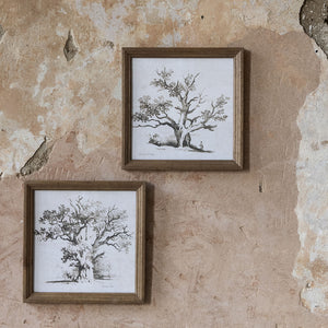 Set of 2 Framed Oak Prints