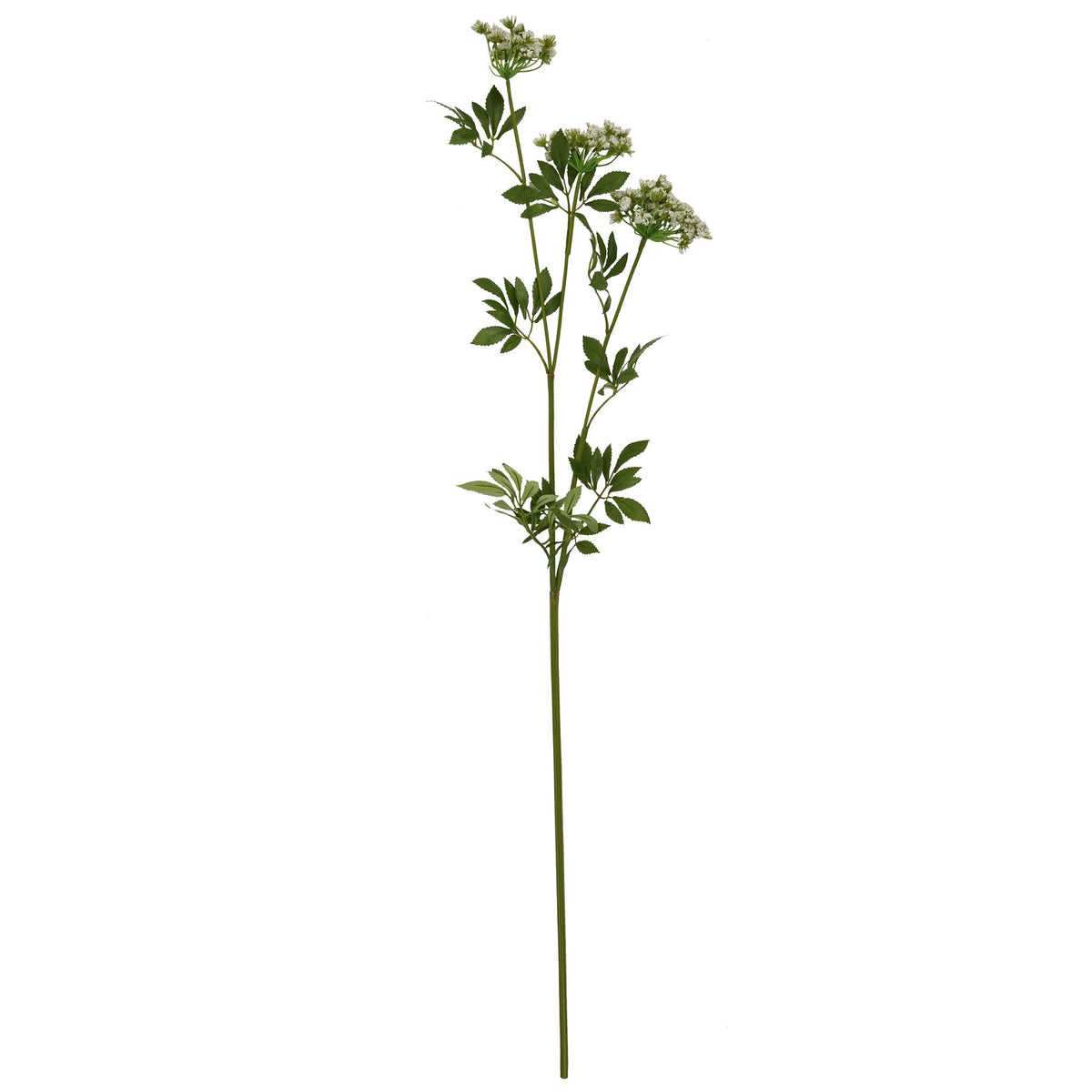 White Cow Parsley Stem – Dear Grace Home Interiors