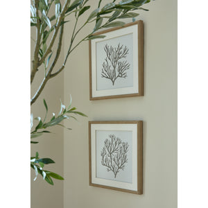 Framed Coral Picture - 2 Styles