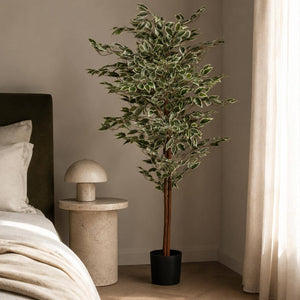 Faux Ficus Tree