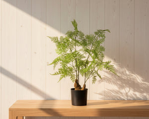 Faux Maiden Hair Fern
