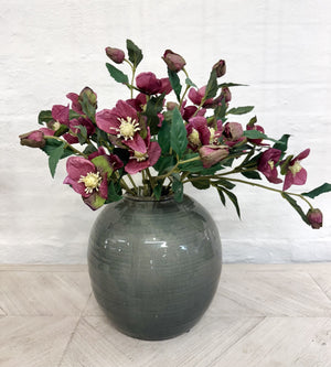 Deep Pink Hellebore Stem