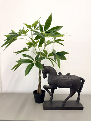 Faux Money Tree