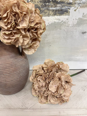 Coffee Hydrangea Stem