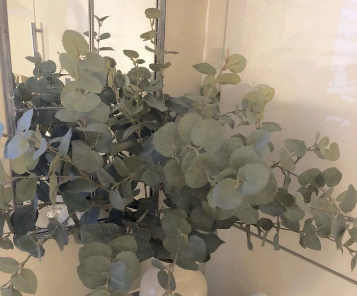 Natural Eucalyptus Stem