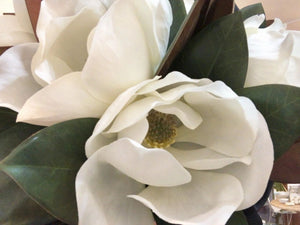 Large Magnolia Bloom