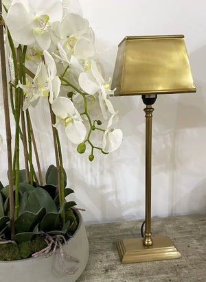 Brass Hendon Lamp