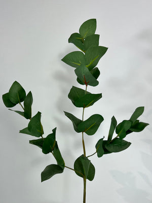 Eucalyptus Omeo Stem
