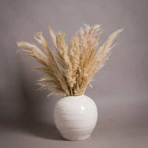 Large Blanca Vase