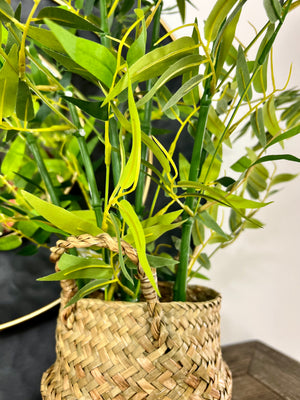 Faux Bamboo in Rattan Basket