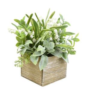 Herb Box With Snow Drops
