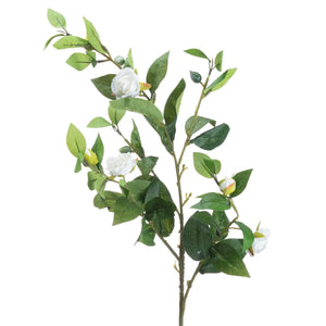 White Gardenia Stem