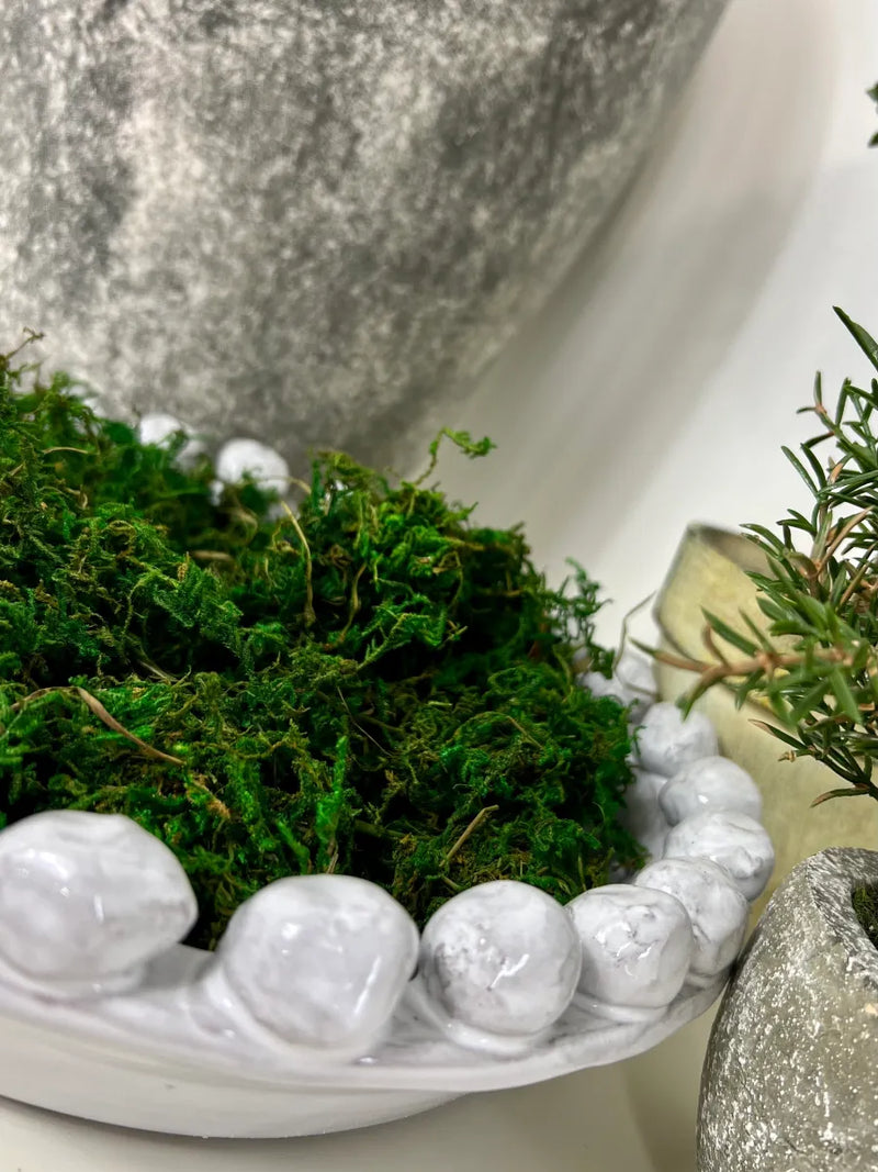 Dried Green Moss – Dear Grace Home Interiors