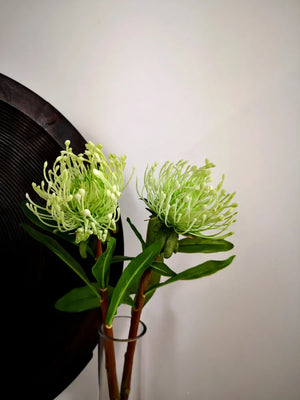 Green Protea Stem