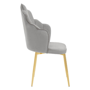 Tian Gold Leg Chair - 4 Colours
