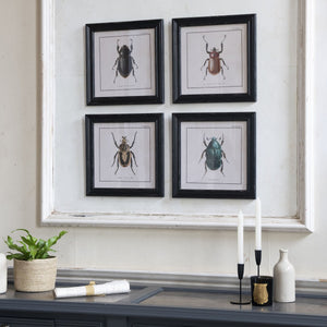 Set of 4 Framed Beetle Prints