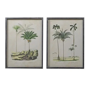 Pair of Palm Tree Prints