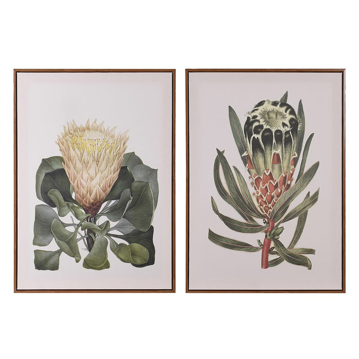 Nambucca Wildflower Prints