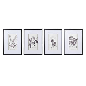 Renzow Botanical Prints - Set of 4