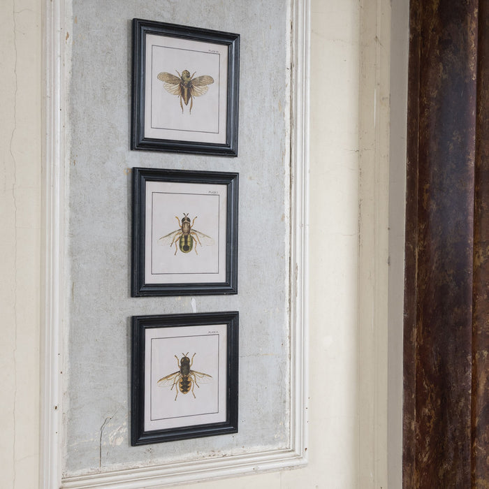 Trio of Bee Prints